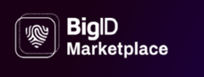 Bigid logo